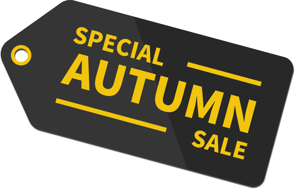 branded CTA in the form of a ticket - original illustrator creative