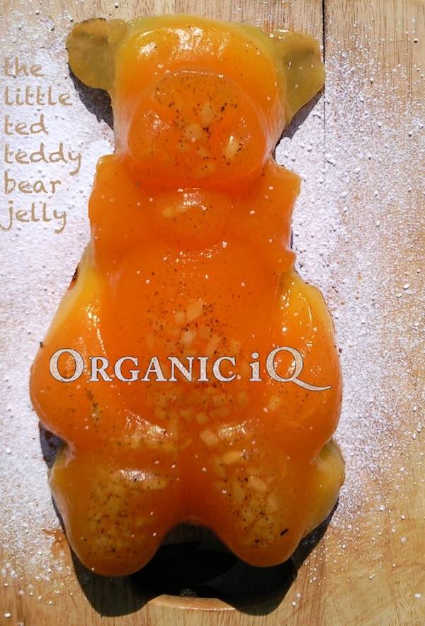 photo of teddy bear shaped cake/jelly