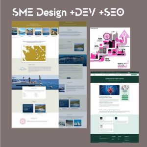 montage of previous work in the SME category